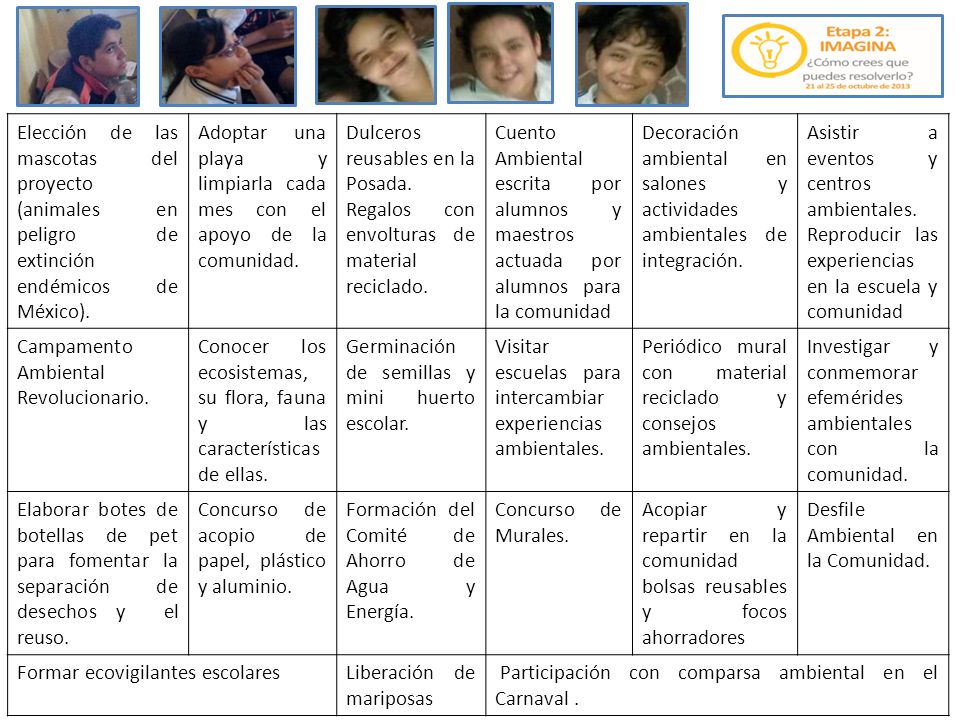 Elección de las mascotas del proyecto (animales en peligro de extinción endémicos de México).