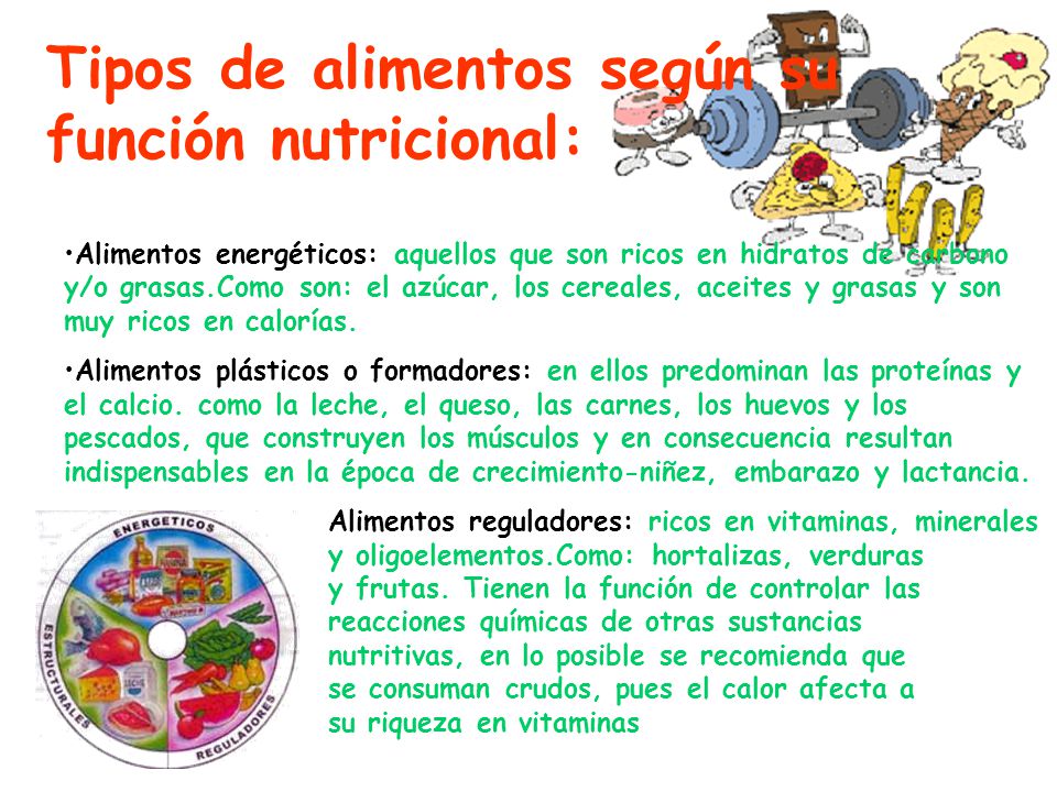 Tipos de alimentos según su función nutricional: