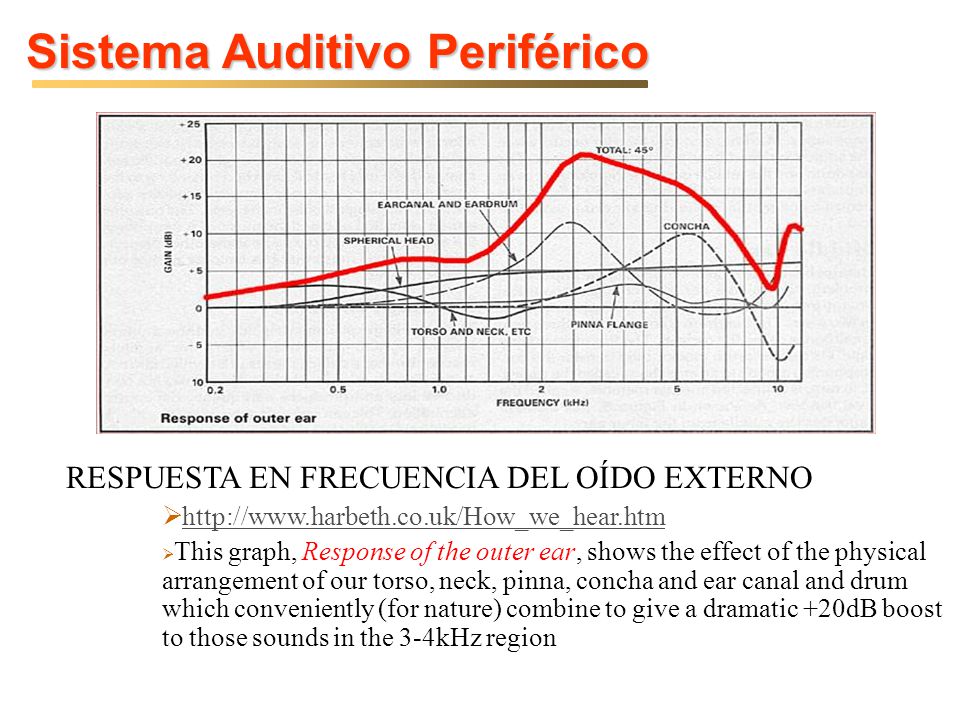 Sistema Auditivo Periférico
