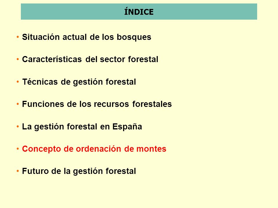 Situación actual de los bosques Características del sector forestal