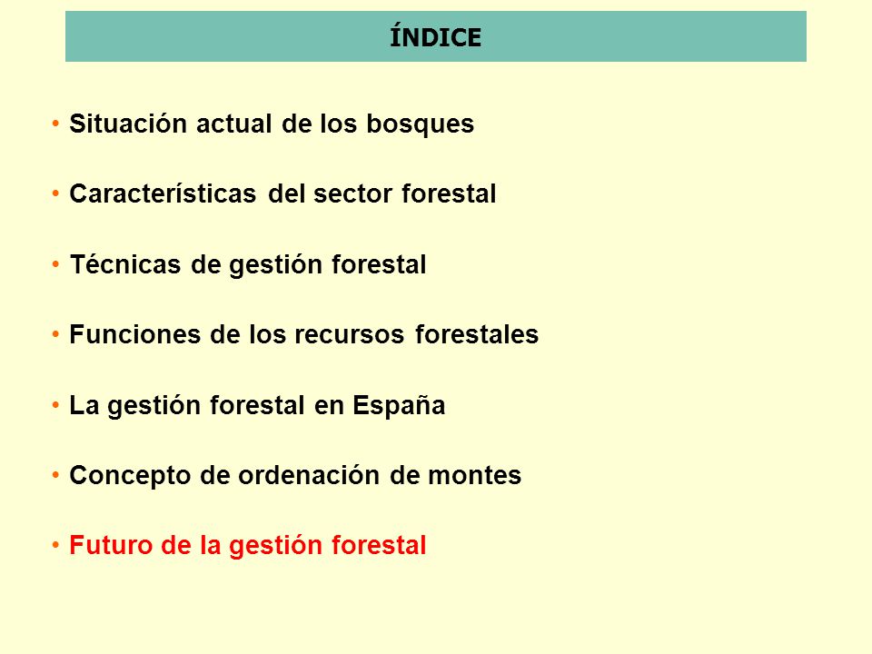 Situación actual de los bosques Características del sector forestal