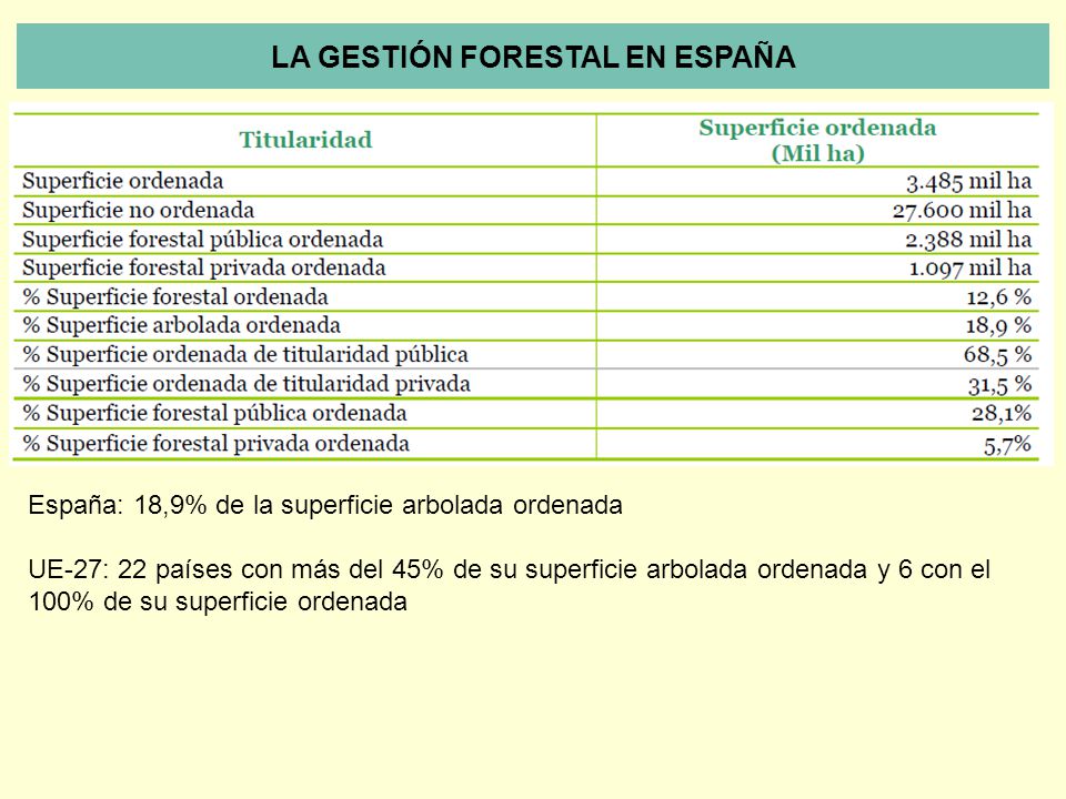 LA GESTIÓN FORESTAL EN ESPAÑA