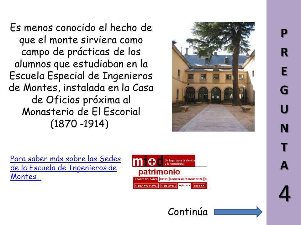Es menos conocido el hecho de que el monte sirviera como campo de prácticas de los alumnos que estudiaban en la Escuela Especial de Ingenieros de Montes, instalada en la Casa de Oficios próxima al Monasterio de El Escorial