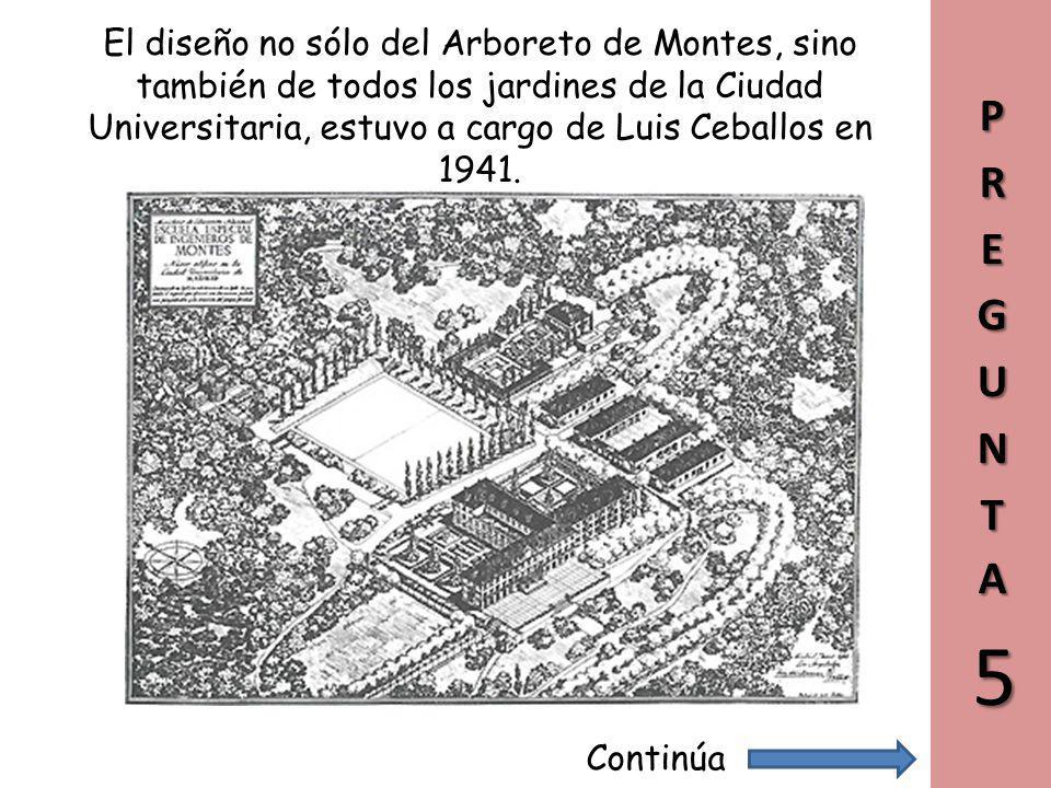 El diseño no sólo del Arboreto de Montes, sino también de todos los jardines de la Ciudad Universitaria, estuvo a cargo de Luis Ceballos en 1941.