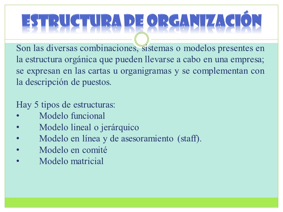 Estructura de organización