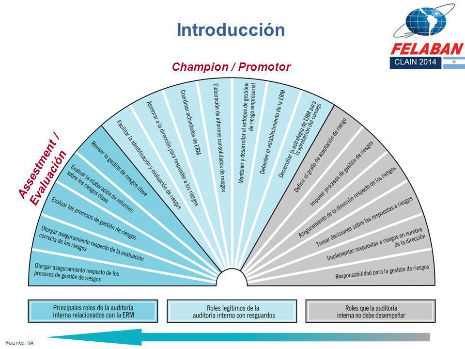 Introducción Champion / Promotor Assestment / Evaluación Fuente: IIA
