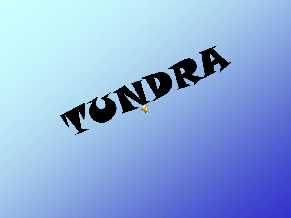 TUNDRA