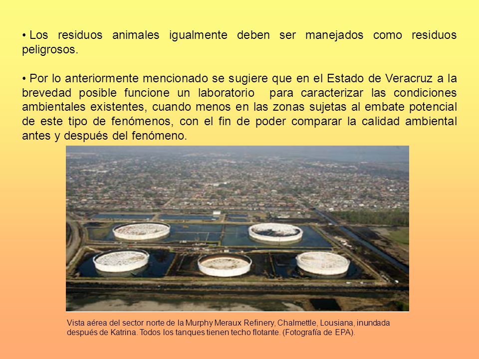 Los residuos animales igualmente deben ser manejados como residuos peligrosos.
