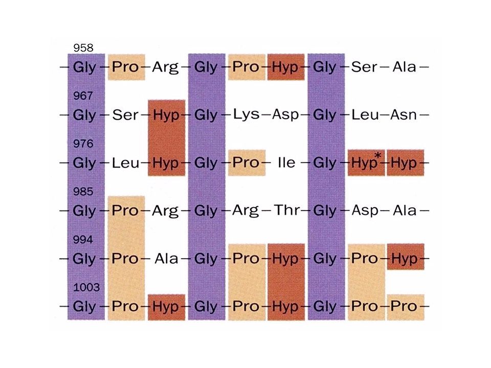 The amino acid sequence at the C-terminal end of the triple helical region of the bovine a1(I) collagen chain.
