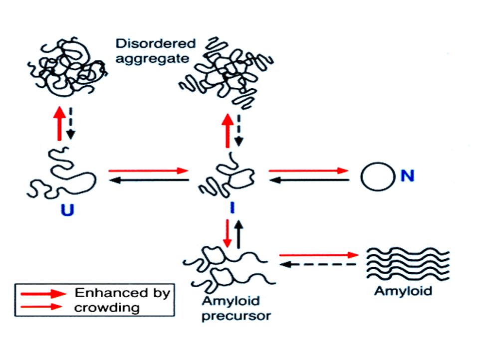 Aggregation of nonnative protein chains as a side-reaction of productive folding in the crowded environment of the cell.