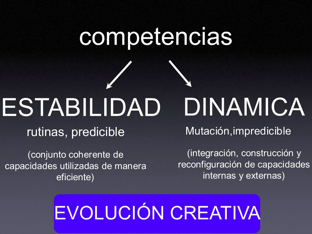 competencias ESTABILIDAD DINAMICA EVOLUCIÓN CREATIVA