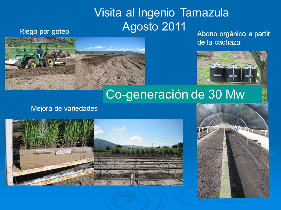 Co-generación de 30 Mw Visita al Ingenio Tamazula Agosto 2011