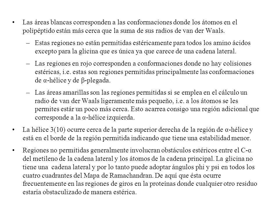 Las áreas blancas corresponden a las conformaciones donde los átomos en el polipéptido están más cerca que la suma de sus radios de van der Waals.