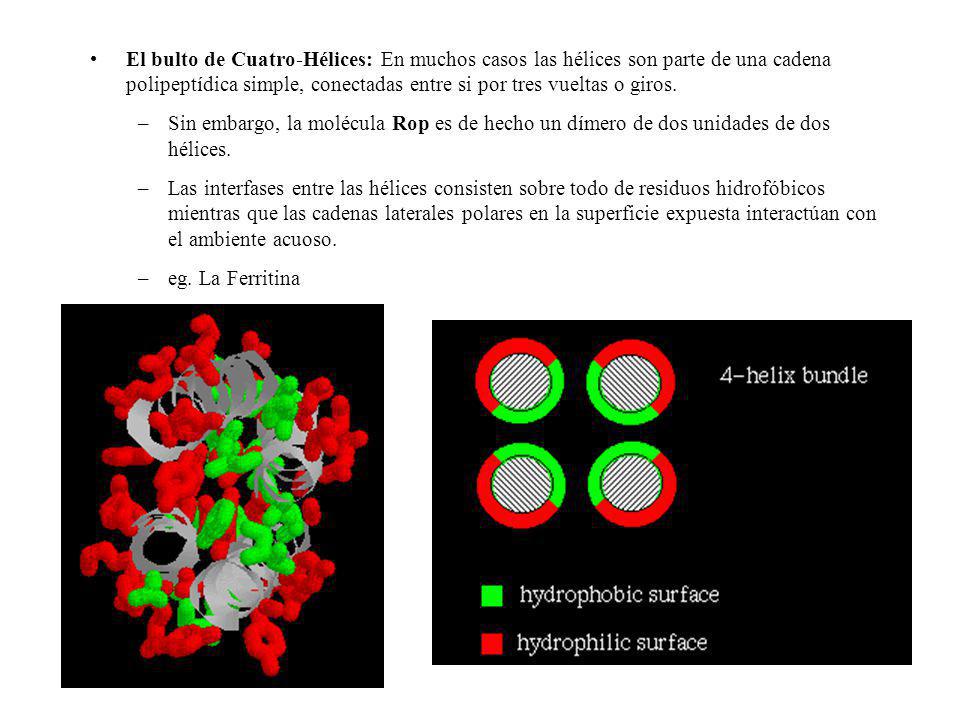 El bulto de Cuatro-Hélices: En muchos casos las hélices son parte de una cadena polipeptídica simple, conectadas entre si por tres vueltas o giros.