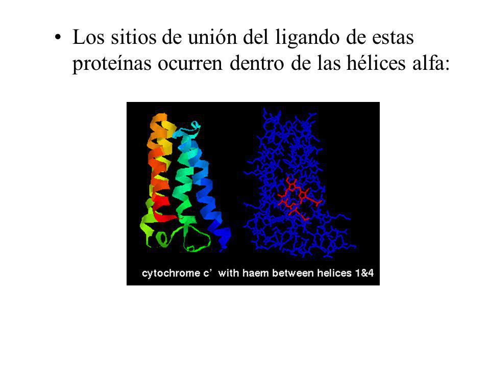 Los sitios de unión del ligando de estas proteínas ocurren dentro de las hélices alfa: