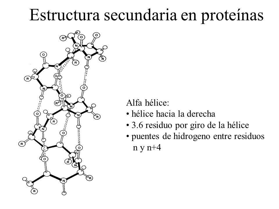 Estructura secundaria en proteínas