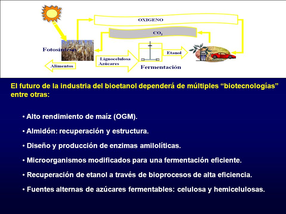 El futuro de la industria del bioetanol dependerá de múltiples biotecnologías entre otras: