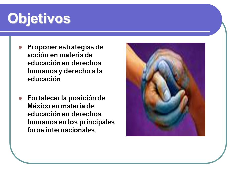 Objetivos Proponer estrategias de acción en materia de educación en derechos humanos y derecho a la educación.