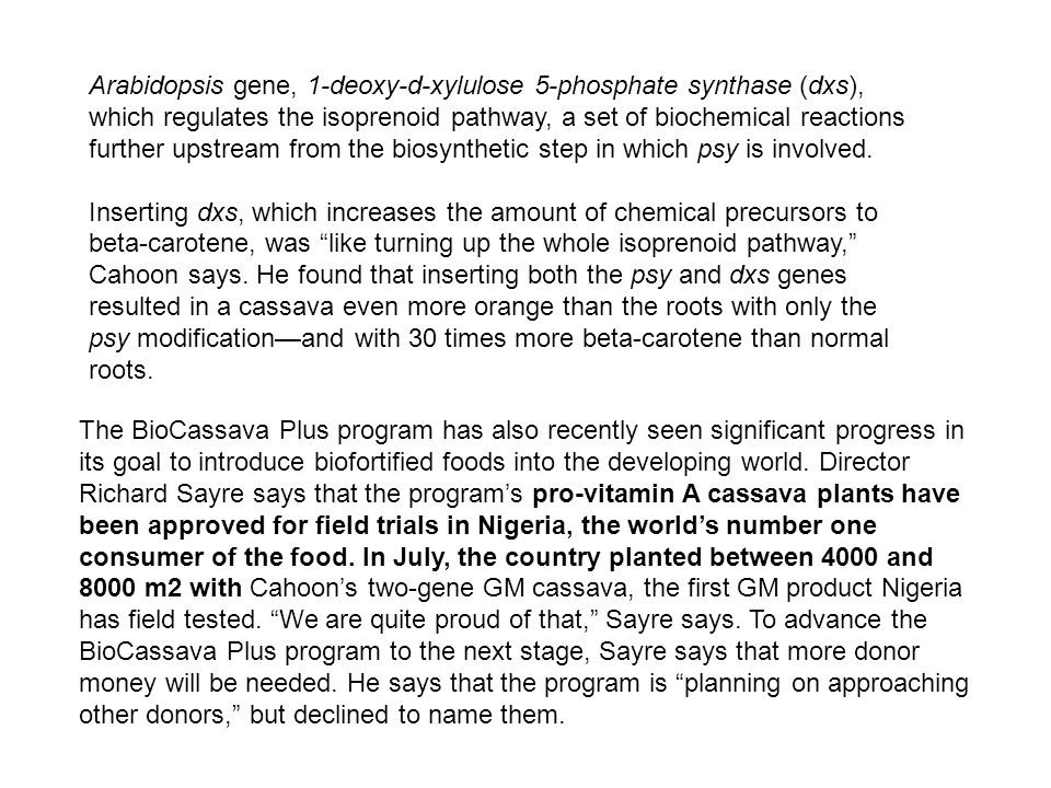 Arabidopsis gene, 1-deoxy-d-xylulose 5-phosphate synthase (dxs), which regulates the isoprenoid pathway, a set of biochemical reactions further upstream from the biosynthetic step in which psy is involved.