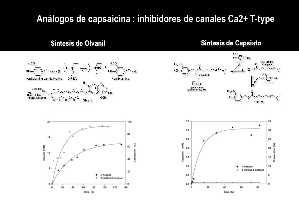 Análogos de capsaicina : inhibidores de canales Ca2+ T-type