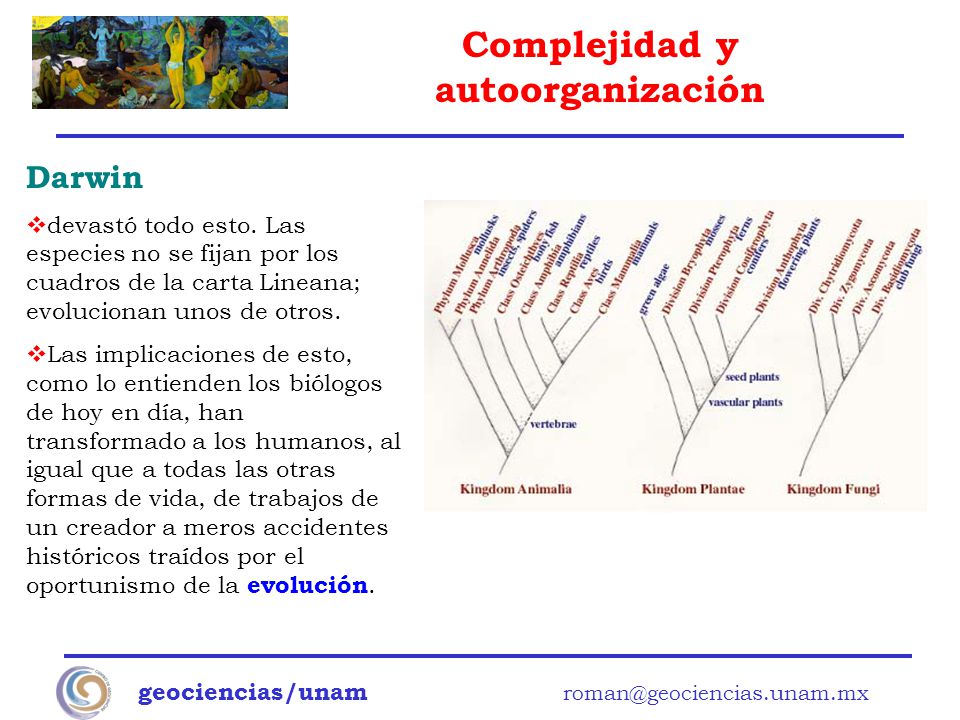 Darwin devastó todo esto. Las especies no se fijan por los cuadros de la carta Lineana; evolucionan unos de otros.