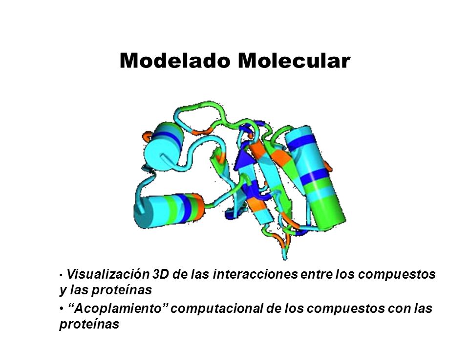 Modelado Molecular Visualización 3D de las interacciones entre los compuestos y las proteínas.