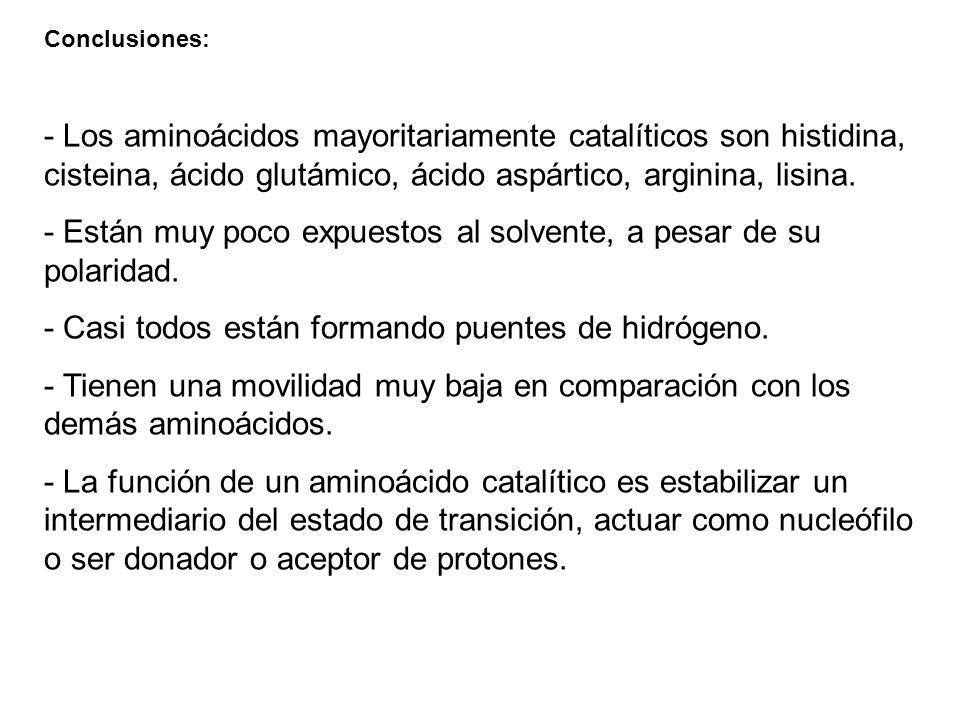 - Están muy poco expuestos al solvente, a pesar de su polaridad.