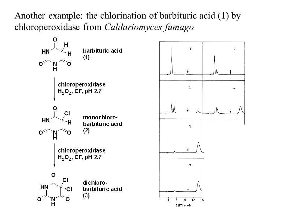 Another example: the chlorination of barbituric acid (1) by chloroperoxidase from Caldariomyces fumago