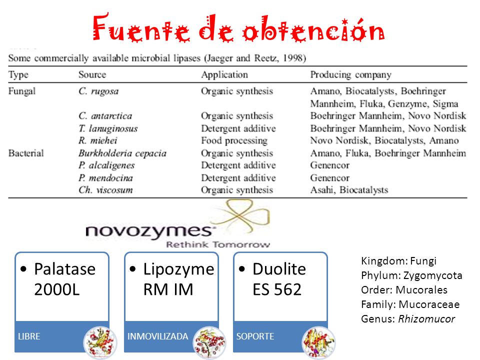 Fuente de obtención LIBRE. Palatase 2000L. INMOVILIZADA. Lipozyme RM IM. SOPORTE. Duolite ES 562.