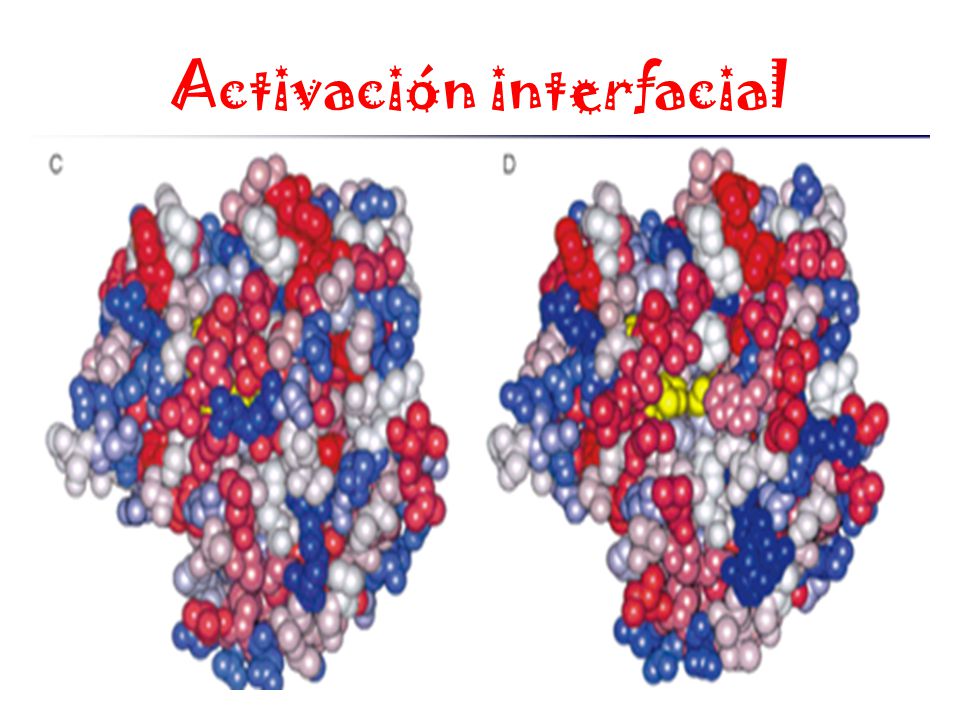Activación interfacial