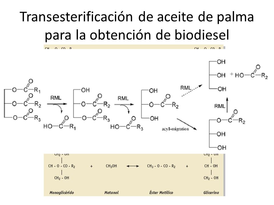 Transesterificación de aceite de palma para la obtención de biodiesel