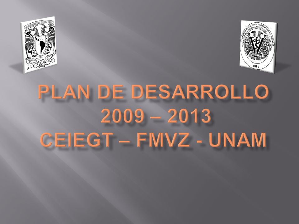 PLAN DE DESARROLLO 2009 – 2013 CEIEGT – FMVZ - UNAM