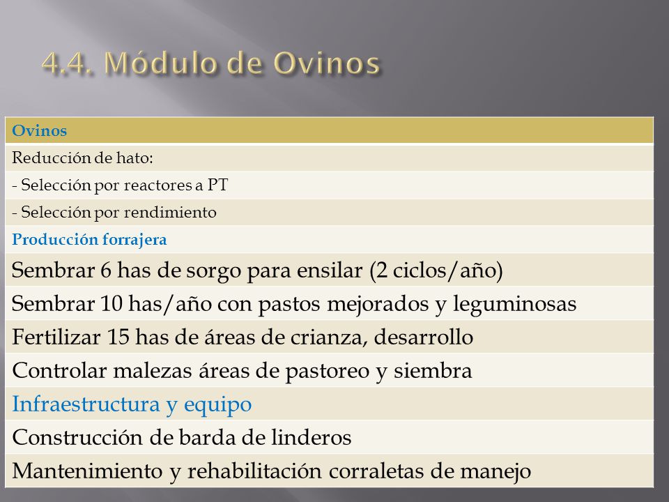 4.4. Módulo de Ovinos Ovinos. Reducción de hato: - Selección por reactores a PT. - Selección por rendimiento.