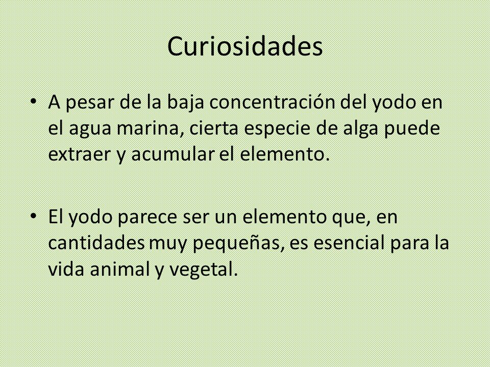 Curiosidades A pesar de la baja concentración del yodo en el agua marina, cierta especie de alga puede extraer y acumular el elemento.