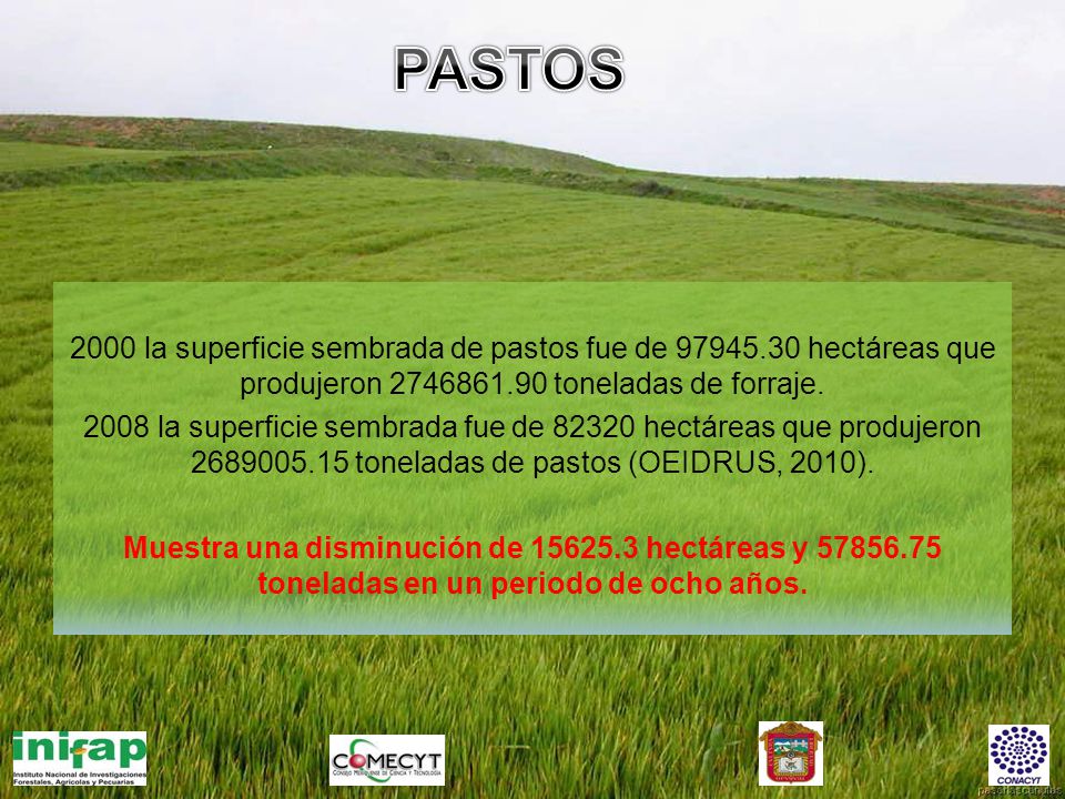 PASTOS 2000 la superficie sembrada de pastos fue de hectáreas que produjeron toneladas de forraje.
