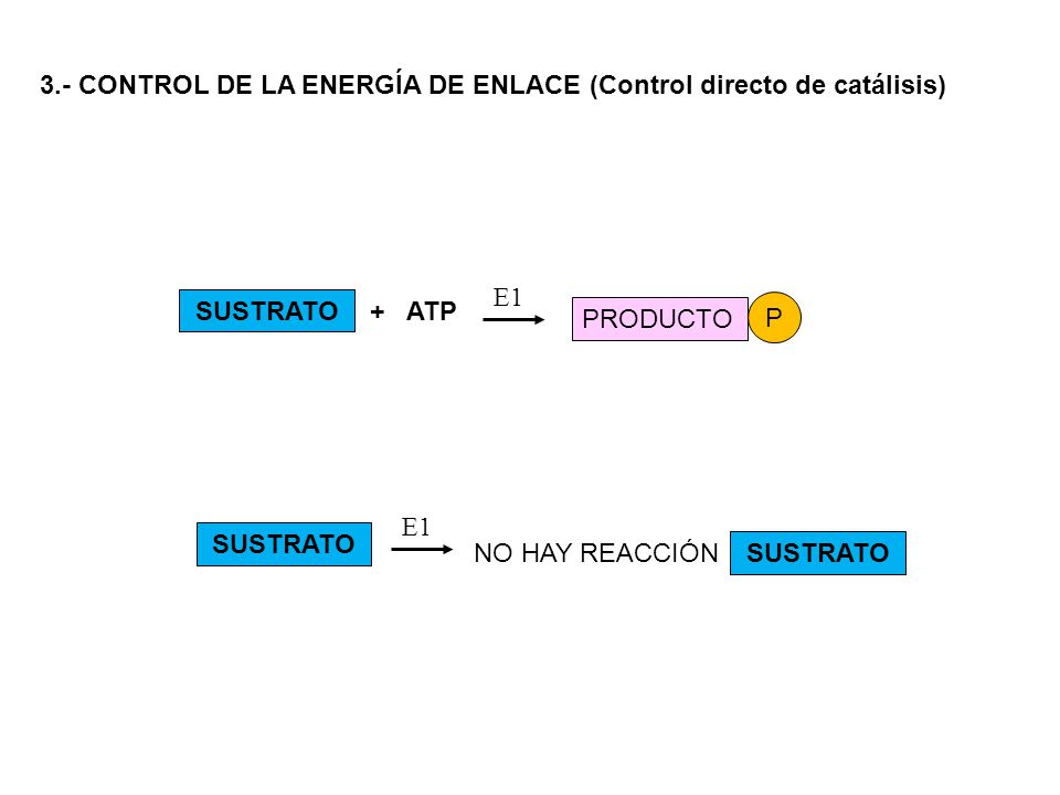 3.- CONTROL DE LA ENERGÍA DE ENLACE (Control directo de catálisis)