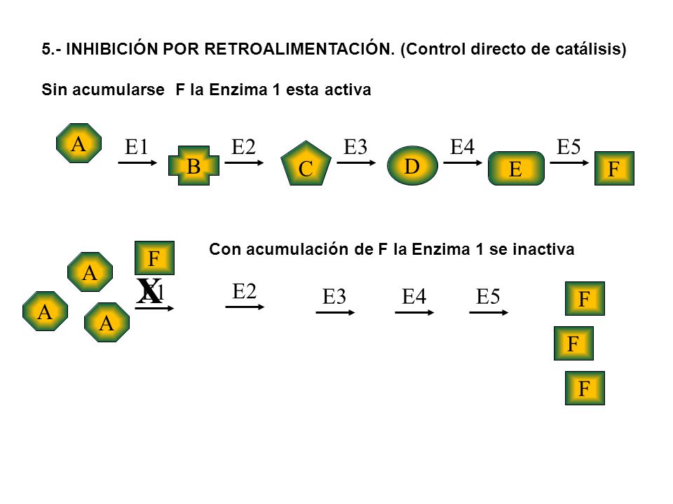 X A E1 E2 E3 E4 E5 C B D E F F A E1 E2 E3 E4 E5 F A A F F