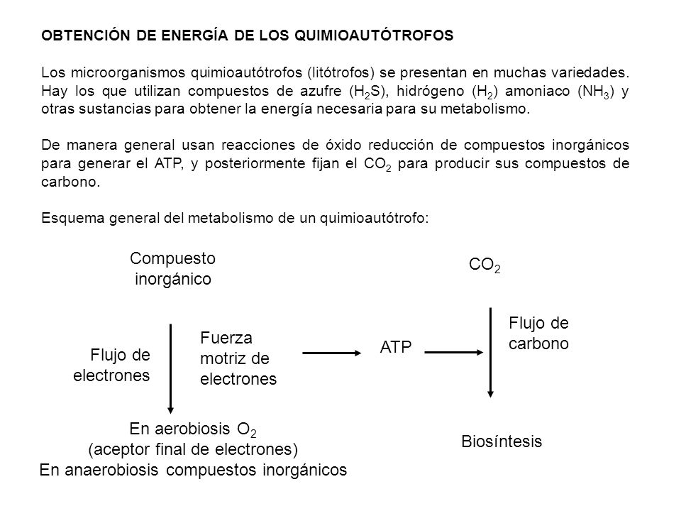(aceptor final de electrones) En anaerobiosis compuestos inorgánicos