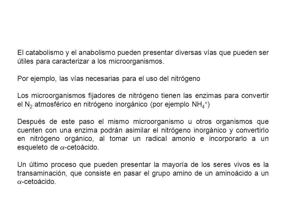 El catabolismo y el anabolismo pueden presentar diversas vías que pueden ser útiles para caracterizar a los microorganismos.