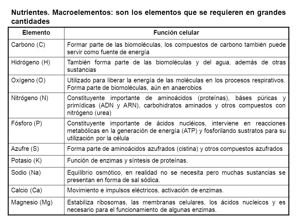 Nutrientes. Macroelementos: son los elementos que se requieren en grandes cantidades
