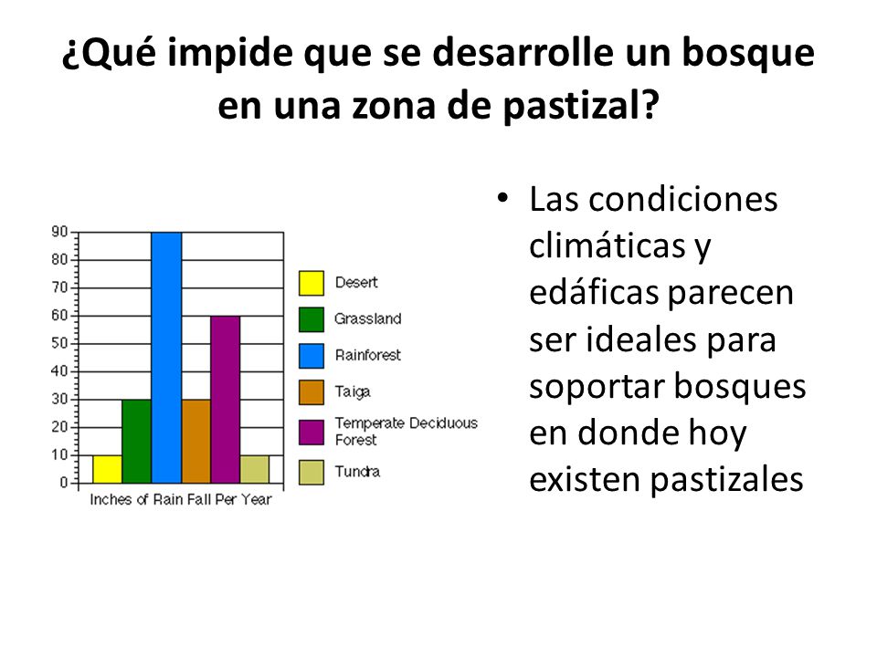 ¿Qué impide que se desarrolle un bosque en una zona de pastizal