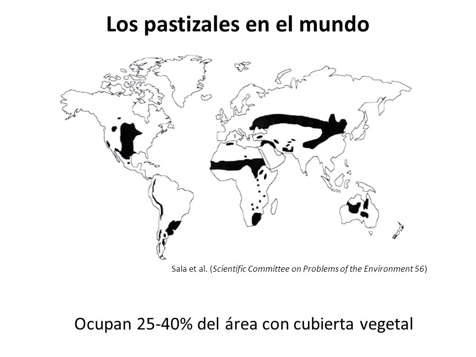 Los pastizales en el mundo