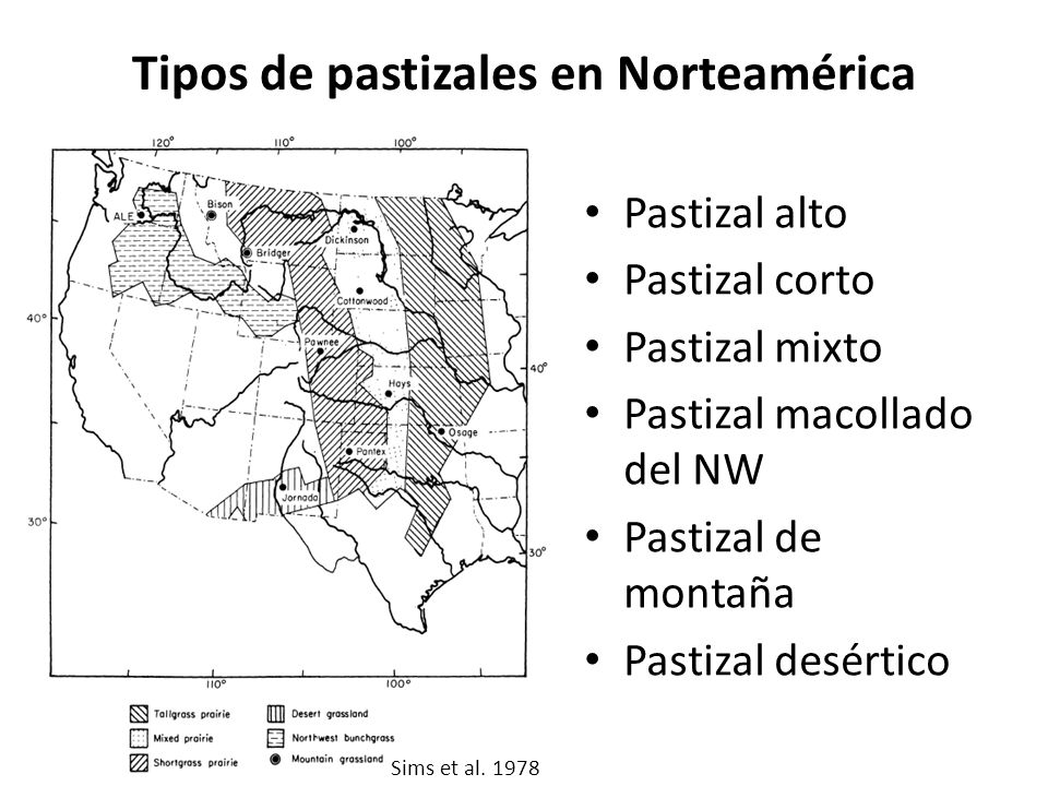 Tipos de pastizales en Norteamérica