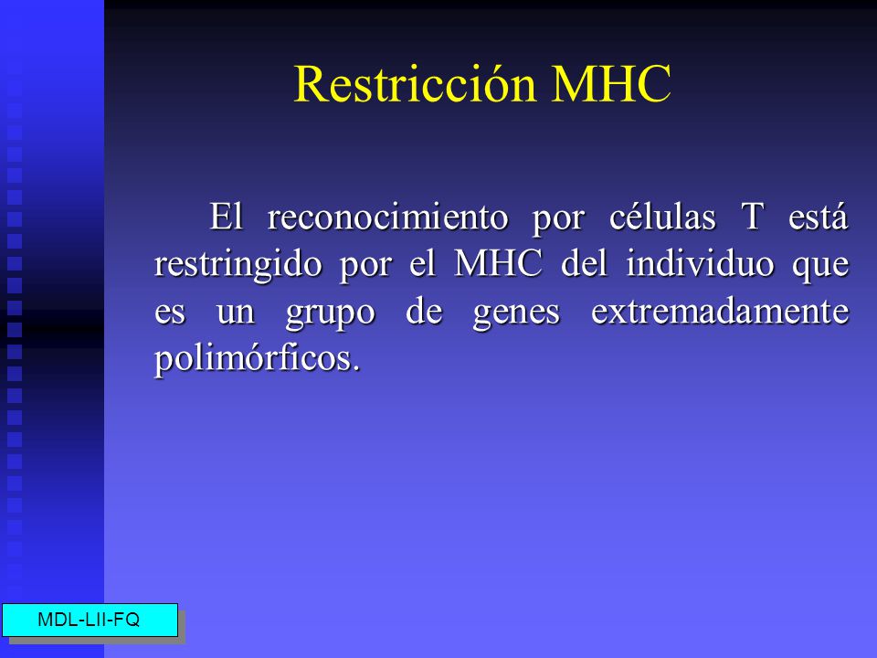 Restricción MHC El reconocimiento por células T está restringido por el MHC del individuo que es un grupo de genes extremadamente polimórficos.