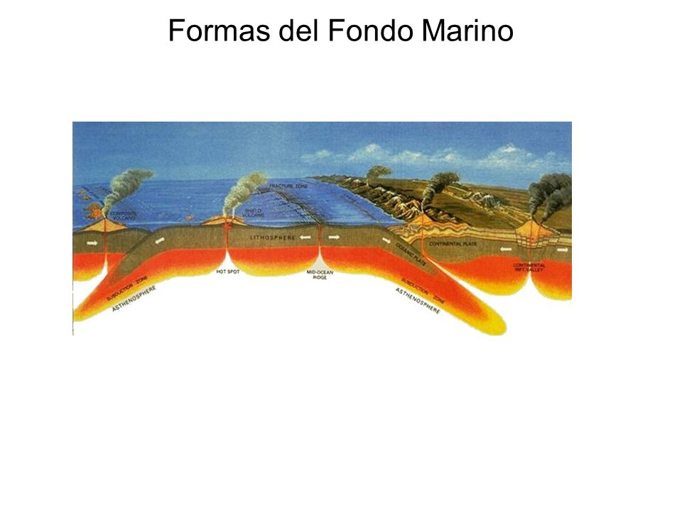 Formas del Fondo Marino