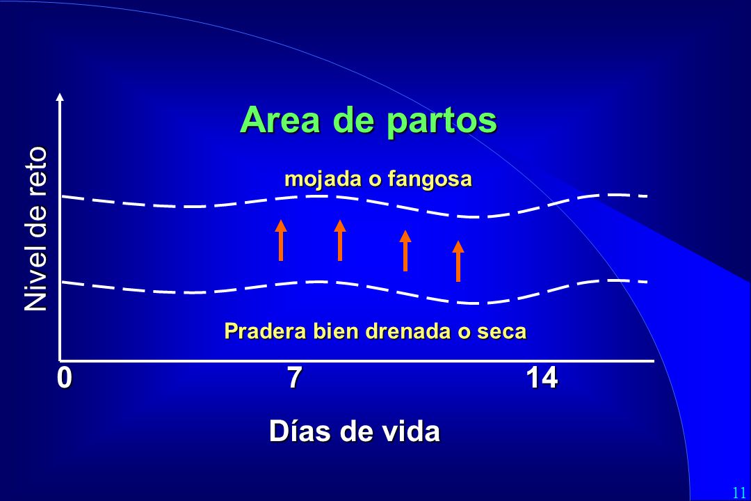 Area de partos Nivel de reto Días de vida mojada o fangosa
