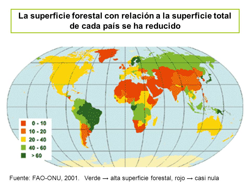 La superficie forestal con relación a la superficie total de cada país se ha reducido