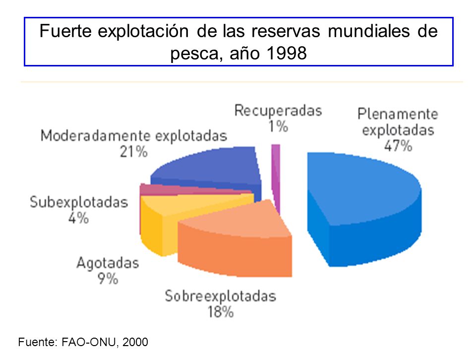 Fuerte explotación de las reservas mundiales de pesca, año 1998