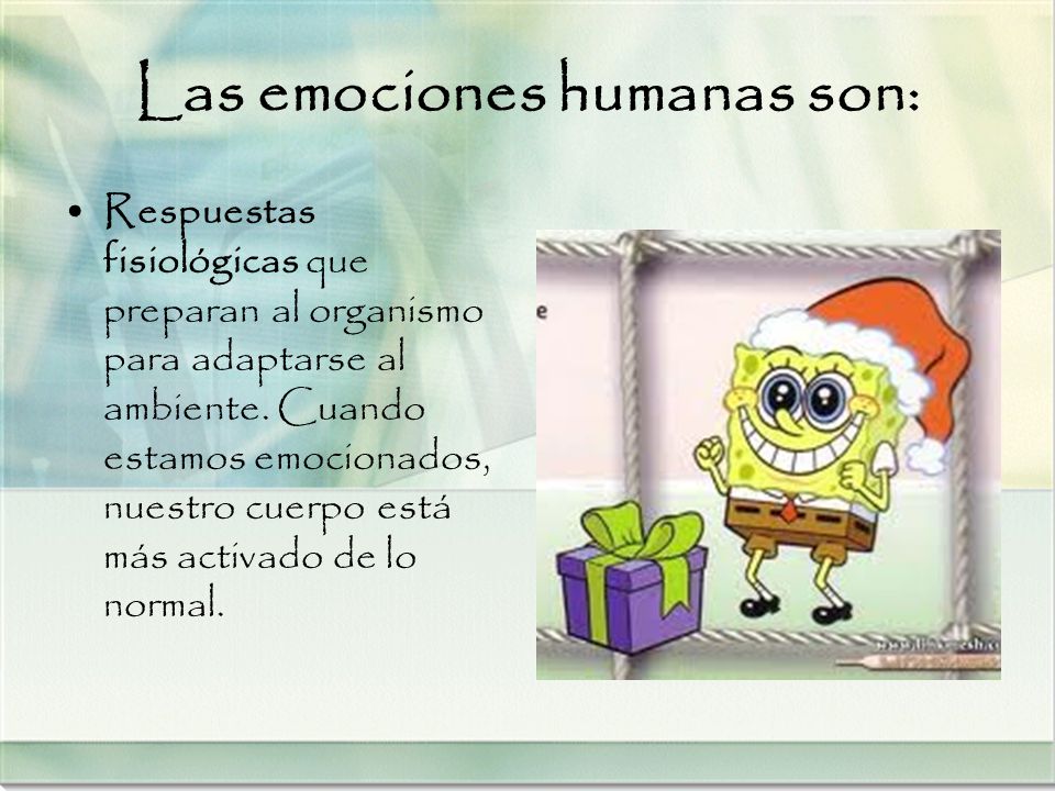 Las emociones humanas son: