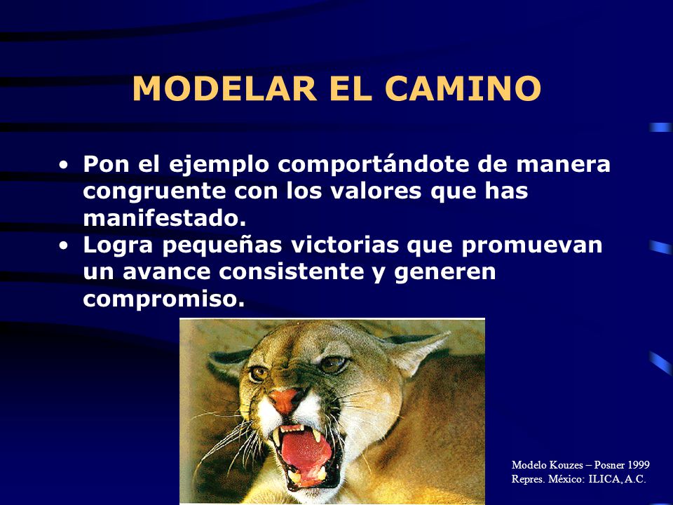 MODELAR EL CAMINO Pon el ejemplo comportándote de manera congruente con los valores que has manifestado.